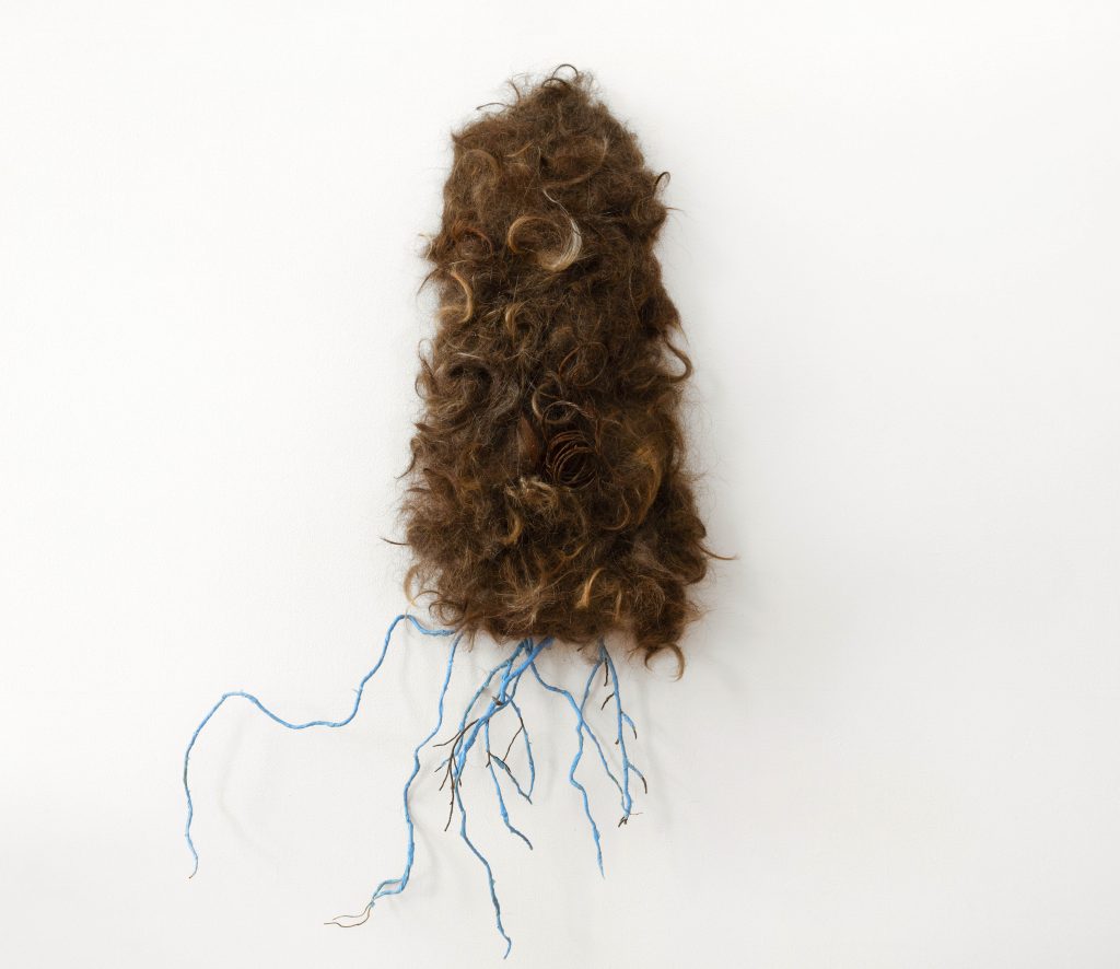 Carollyne Yardley, Plastivore, from the Symbiogenesis series, 2020. Gifted human hair, foraged rusty bedsprings, twigs, blue plastic surgical gloves, 37″ x 30″ x 8″. Installation view from Becoming Plastic at Deluge Contemporary Art, 2022. Photograph by Spartan Media.