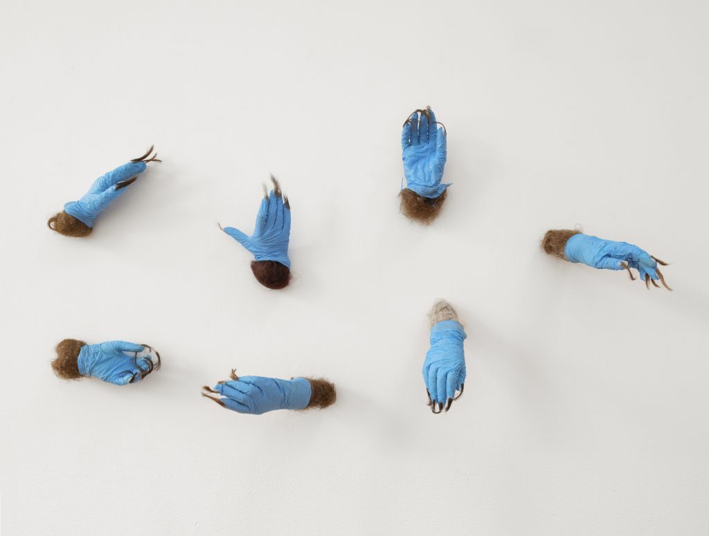 Carollyne Yardley, Contagion (detail), from the Sympoetics of Squirrealism series, 2021. Gifted human hair, foraged used blue nitrile gloves, resin, acrylic nails, armature, 25″ x 32″ x 8″ (each hand 10″ x 3″ x 4″). Becoming Plastic (installation view), 2022. Mixed media. Documentation by Spartan Media.