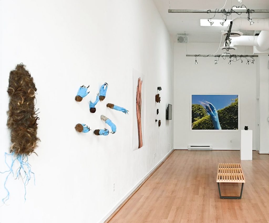 Carollyne Yardley, Installation view from Becoming Plastic at Deluge Contemporary Art, 2022. Photograph by Spartan Media.